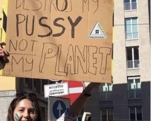Distruggi La Mia Vagina!